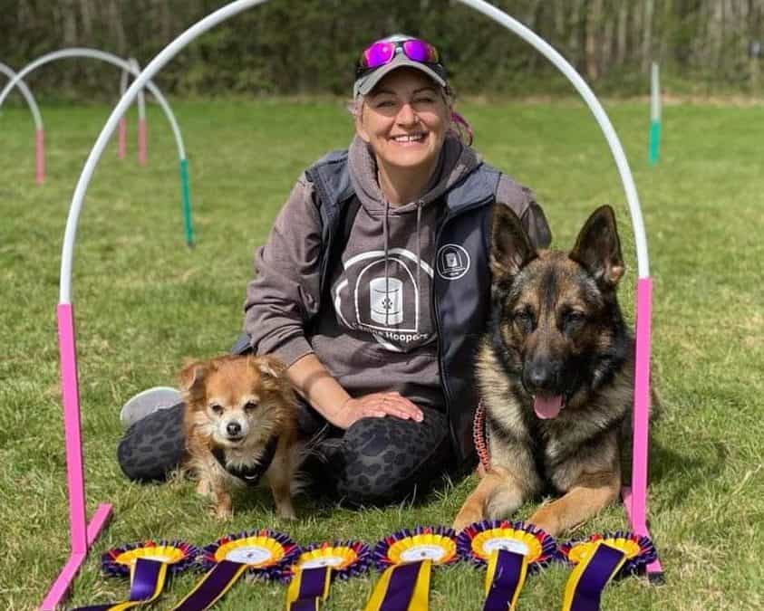 Episode 4: Hoopers with Carrie-Ann Selwyn, chatting about why hoopers is good for every dog but especially for herding breeds