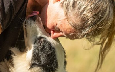 Episode 2: A chat with Lucy d’Auvergne about complicated Border Collies and Therapeutic Scentwork