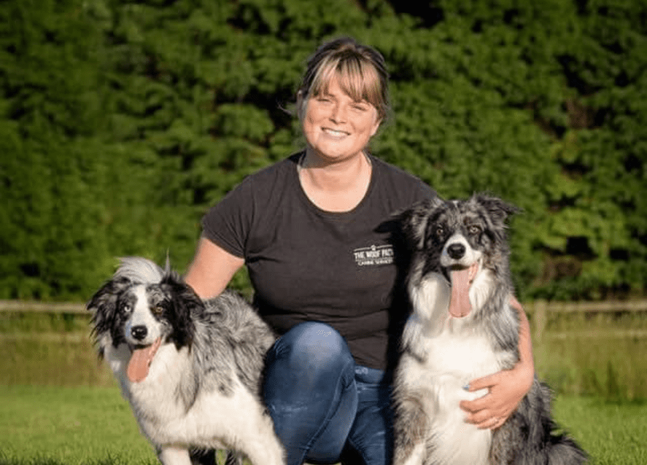 Episode 8: Border Collies in the Urban Environment with Ellen Greenwood-Sole from the Urban Herder