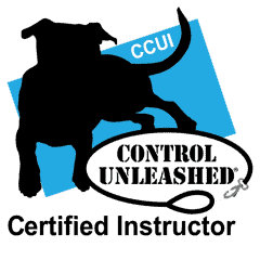 CCUI Logo 2022