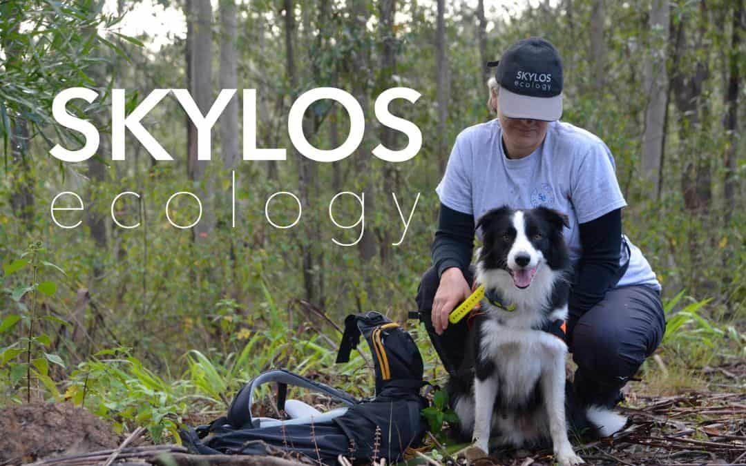 Episode 21: Border Collies and herding dogs helping wildlife in Australia with the Skylos Ecology team!