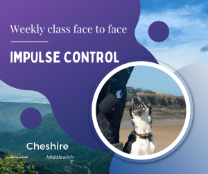 Join Us Live Webinar