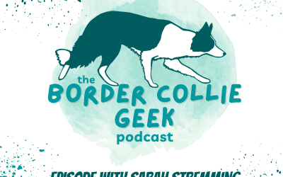Episode 28: Border Collie Geekery with Sarah Stremming from the Cognitive Canine