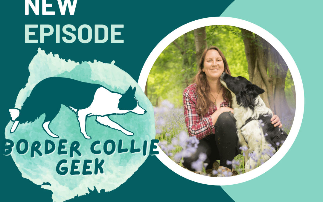 Episode 34: Talking about fear and anxiety with with Clinical Animal Behaviourist Laura Ward