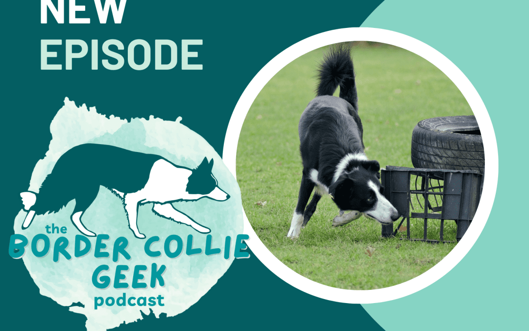 Episode 38: Activities for Busy Brains