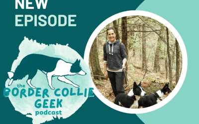Episode 39: Breeding and Border Collie health with Hélèn Lawler