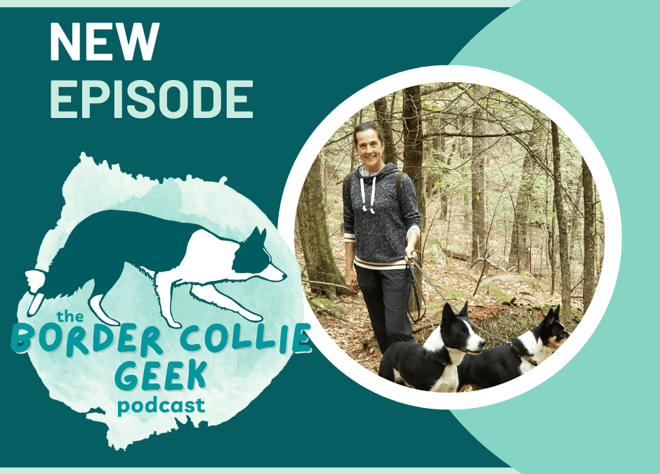 Episode 39: Breeding and Border Collie health with Hélèn Lawler