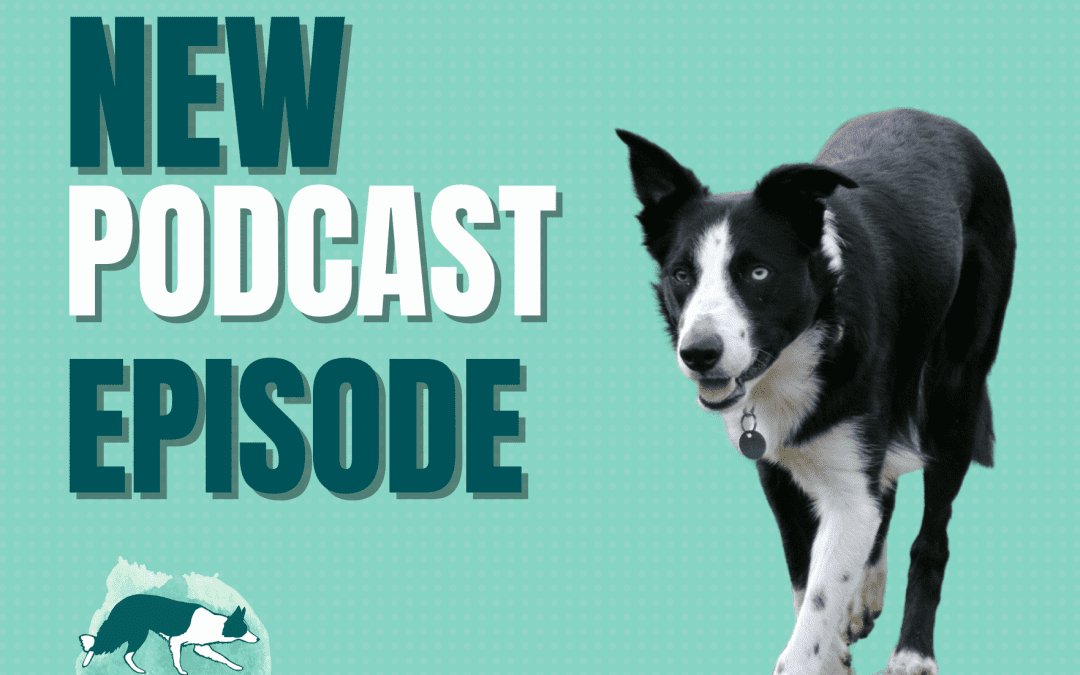 Episode 43 and 44: Q&A from my listeners!