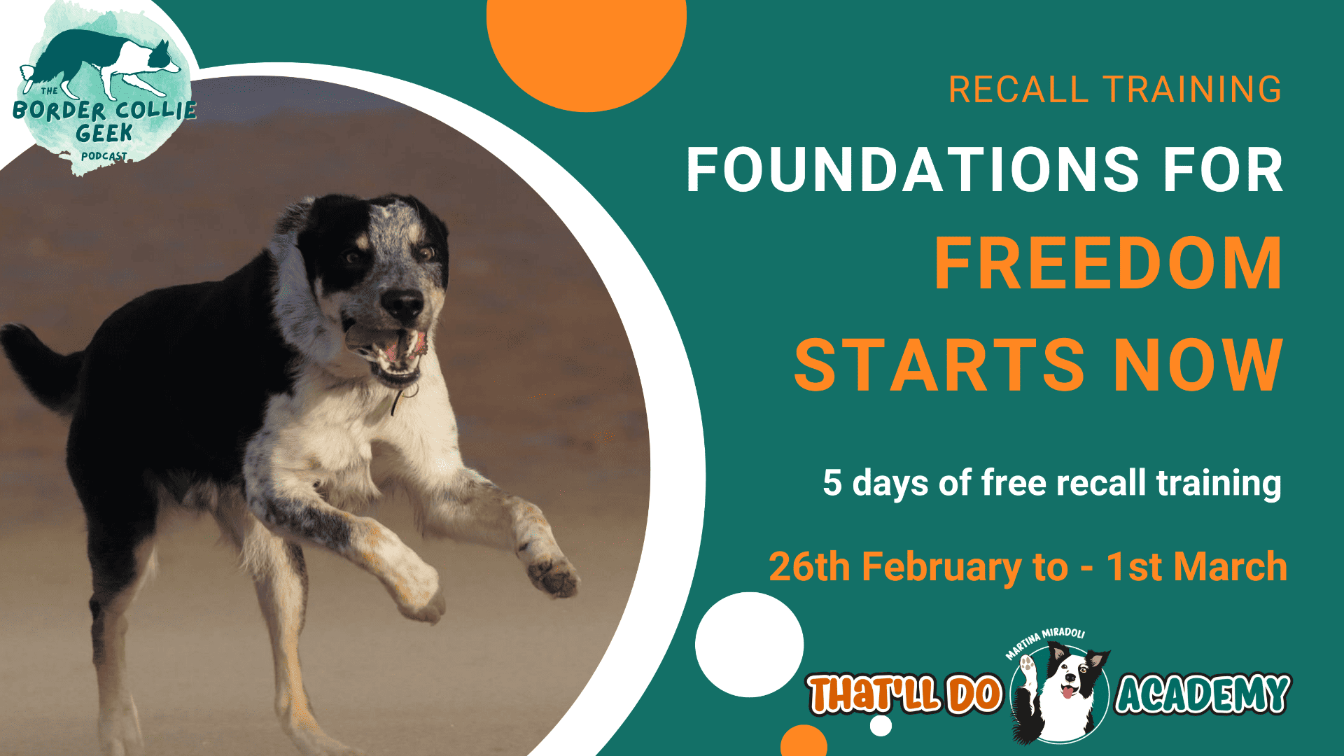 Foundations for Freedom free recall training for border collies