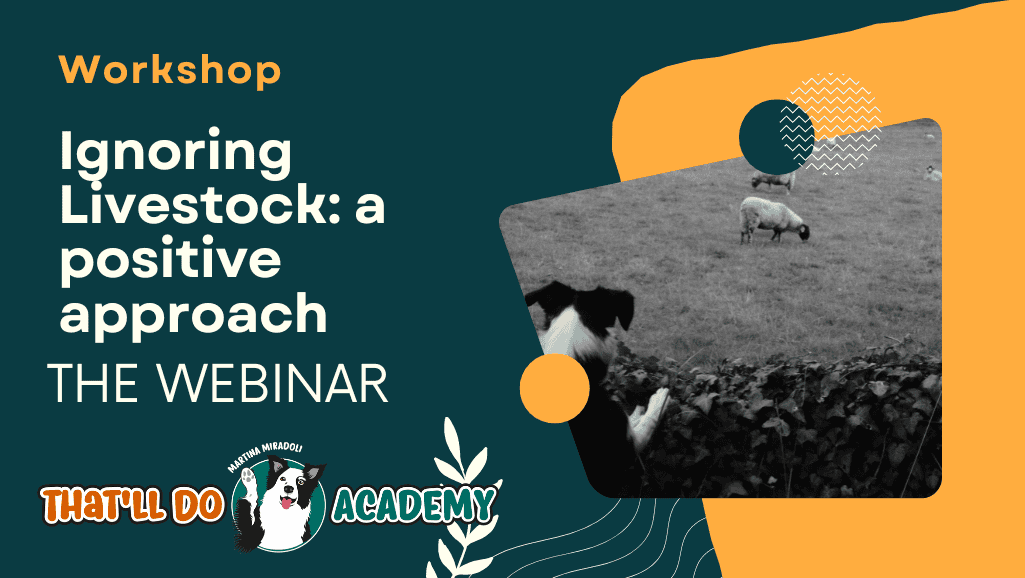 Green and Yellow Fundraising Facebook Cover (4)