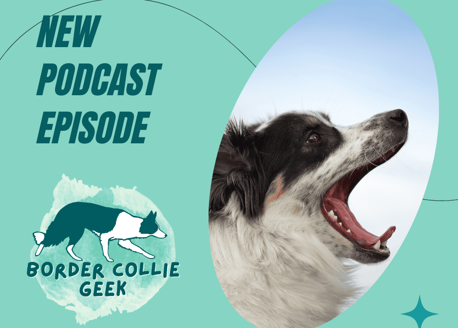 Episode 76: Optimal Arousal with Hélène Lawler