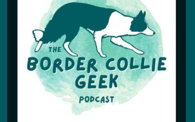 My Dog Training Opinion on Spaying & Neutering