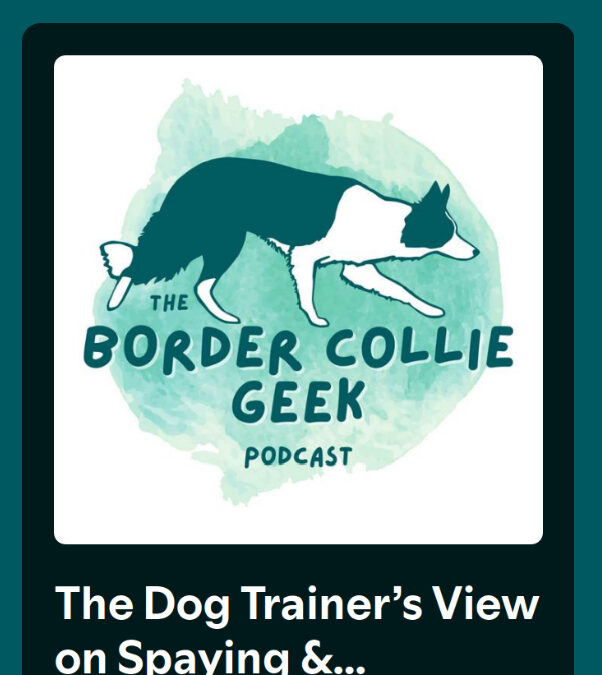 My Dog Training Opinion on Spaying & Neutering