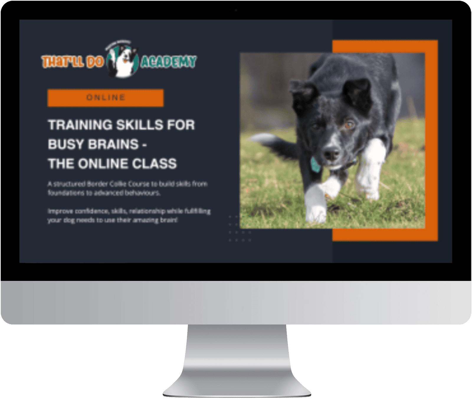 Training skills for busy brains